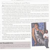 Absolute Marbella article